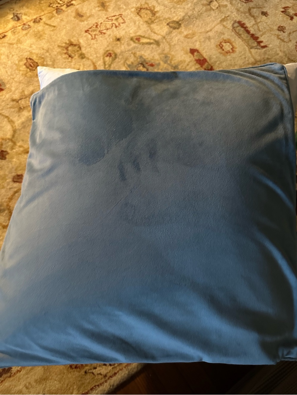 2 Light Blue Velvet Throw Pillow Cover | 100% Polyester